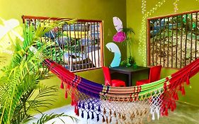 Sierra Kay Hostel Guachaca  Colombia